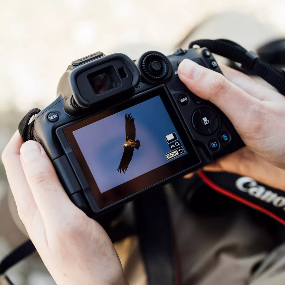 Canon EOS R7 Mirrorless Camera