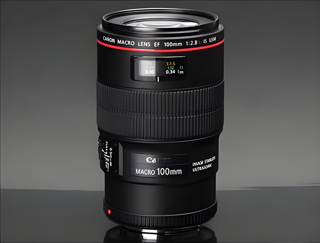 Canon EF 100mm f/2.8 IS USM