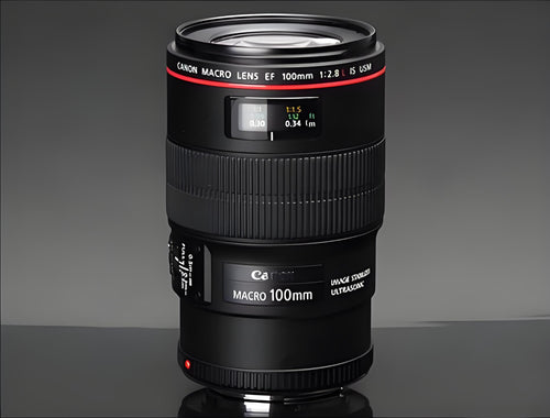 Canon EF 100mm f/2.8 IS USM