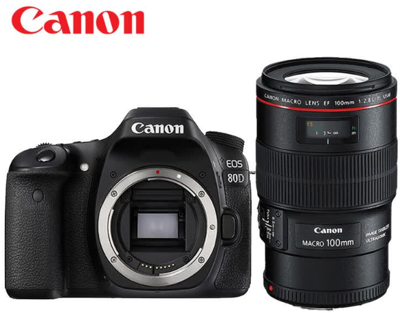 Canon 80D